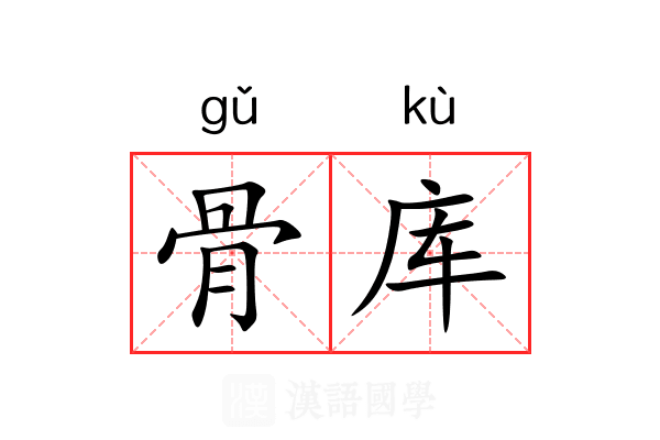 骨库 骨库
