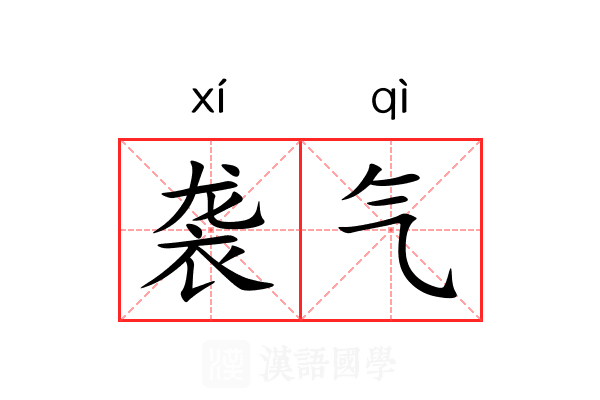 袭气