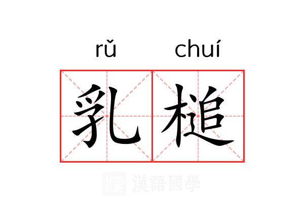 乳槌