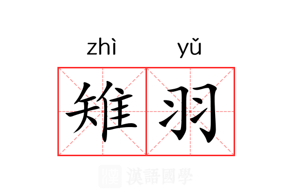 雉羽