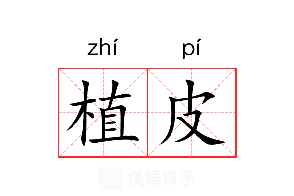 植皮