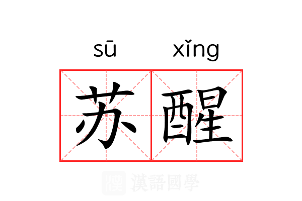 苏醒 苏醒