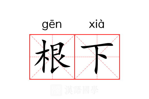 根下