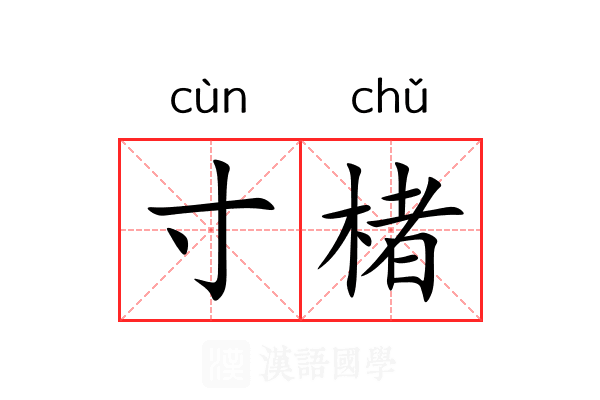 寸楮
