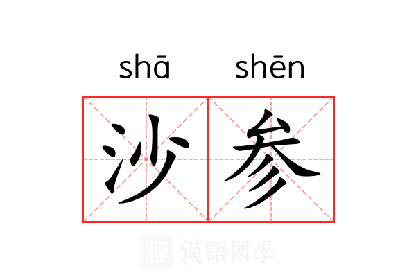 沙参 沙参