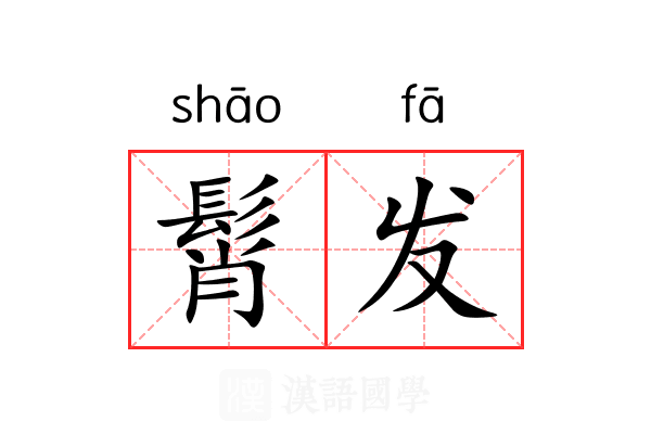 髾发 髾发
