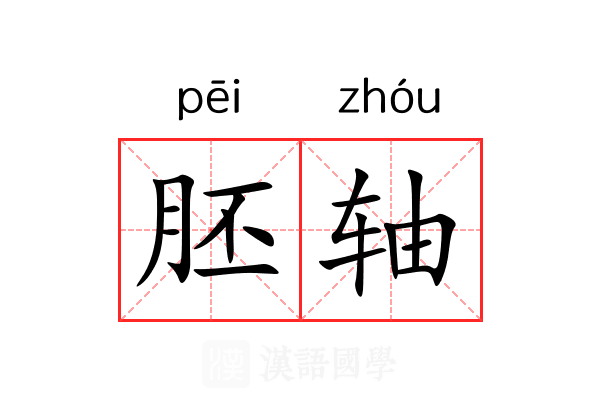 胚轴 胚轴