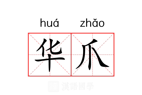 华爪 华爪