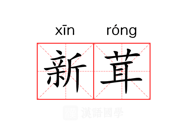 新茸 新茸
