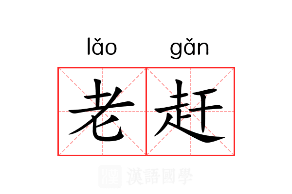 老赶 老赶