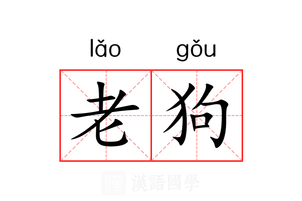 老狗 老狗