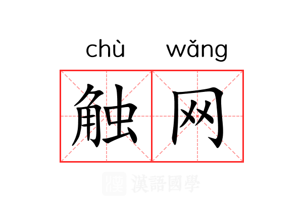 触网