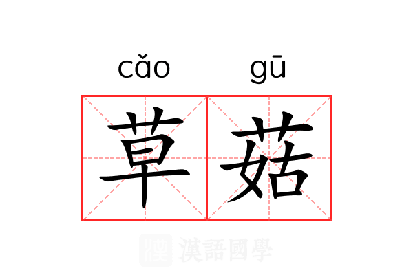 草菇 草菇