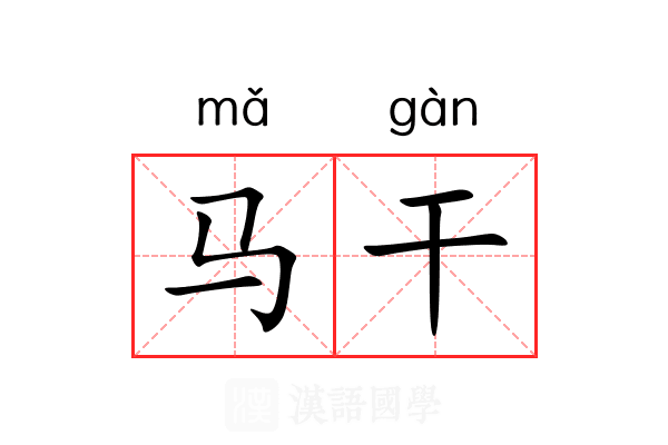 马干 马干