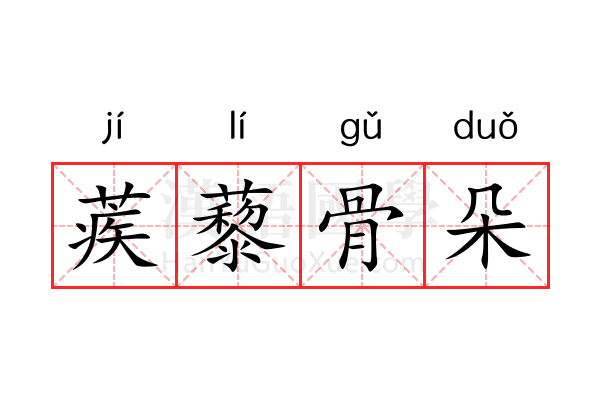 蒺藜骨朵 蒺藜骨朵