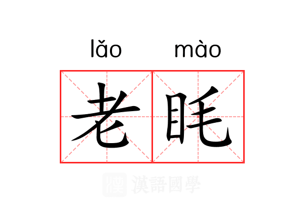 老眊 老眊