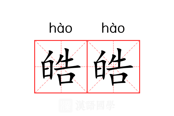 皓皓 皓皓