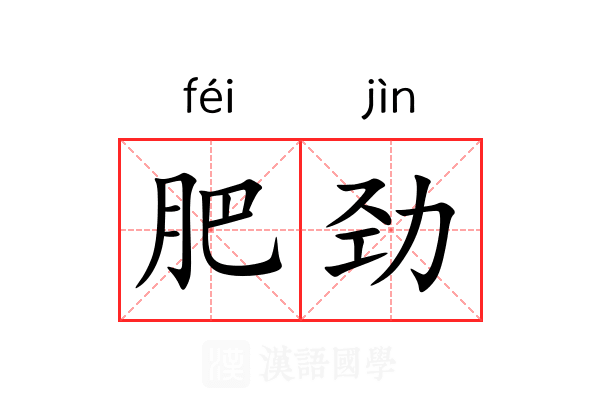肥劲 肥劲
