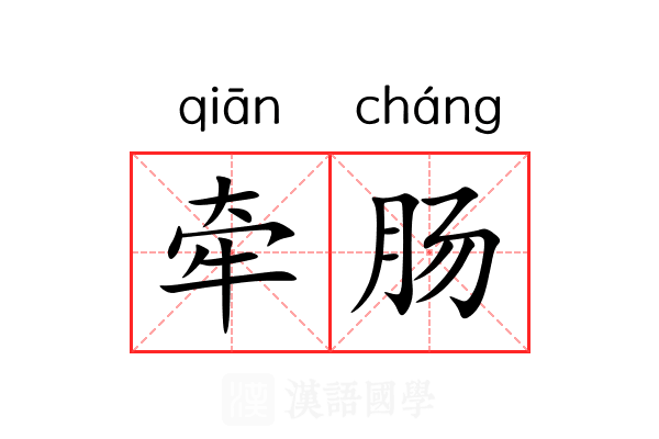 牵肠