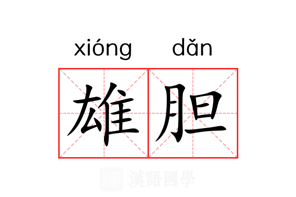 雄胆 雄胆