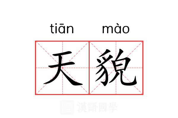 天貌 天貌