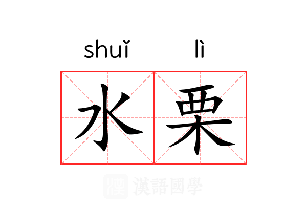 水栗 水栗