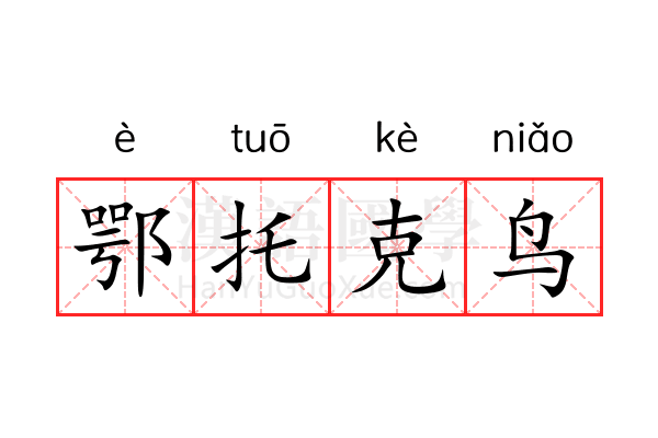 鄂托克鸟 鄂托克鸟