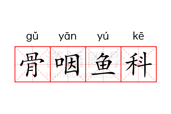 骨咽鱼科 骨咽鱼科