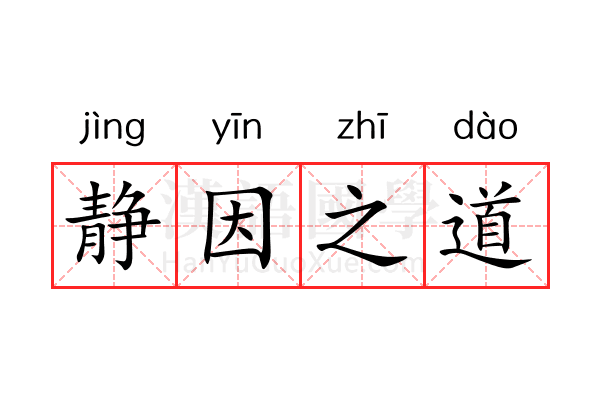 静因之道 静因之道