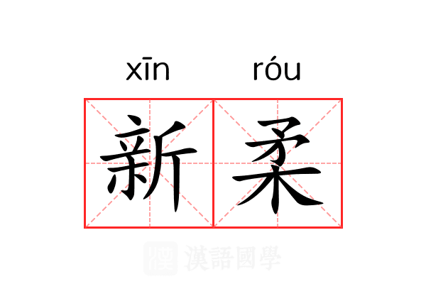 新柔 新柔