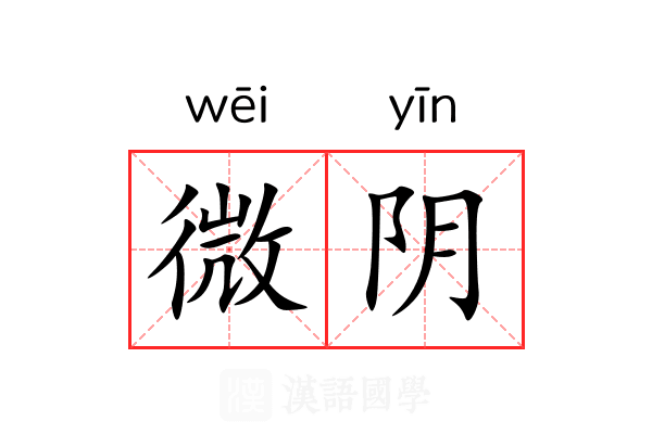 微阴 微阴