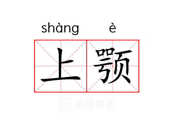 上颚
