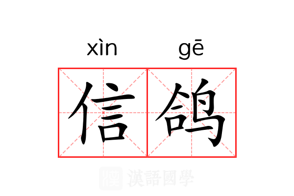 信鸽 信鸽