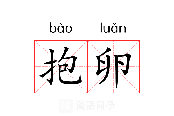 抱卵