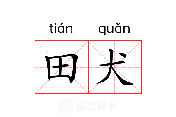 田犬