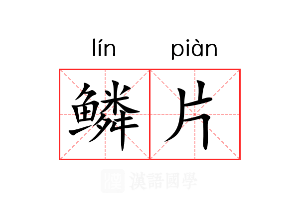 鳞片