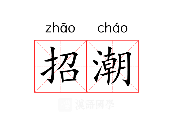 招潮 招潮