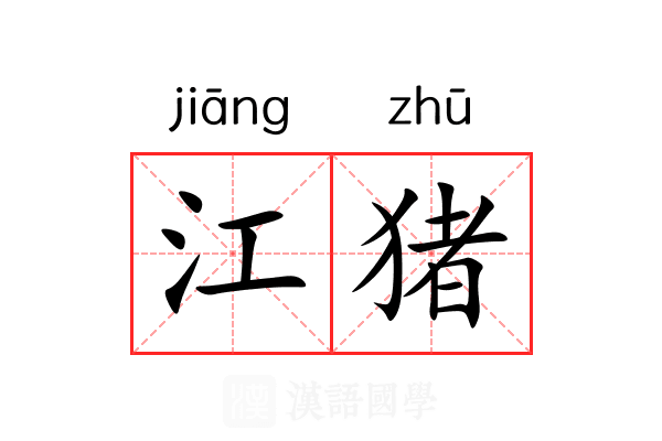 江猪 江猪