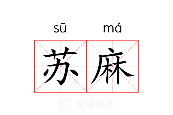 苏麻