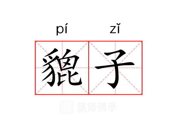 貔子 貔子