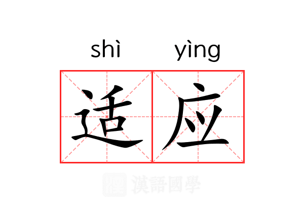适应 适应