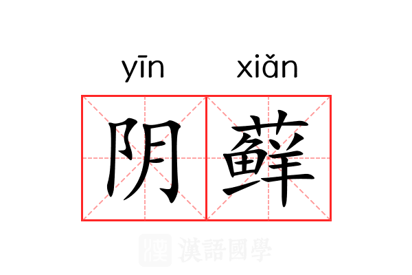 阴藓 阴藓