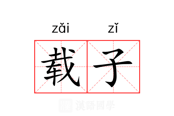 载子