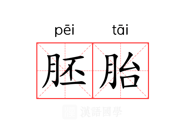 胚胎