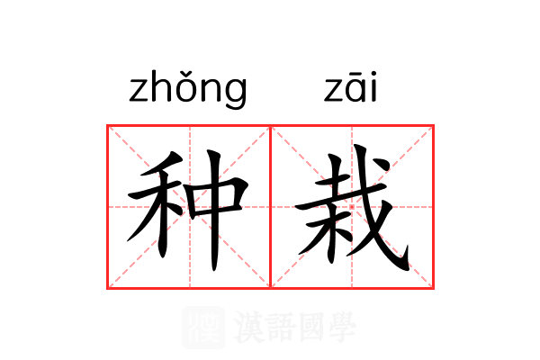 种栽 种栽