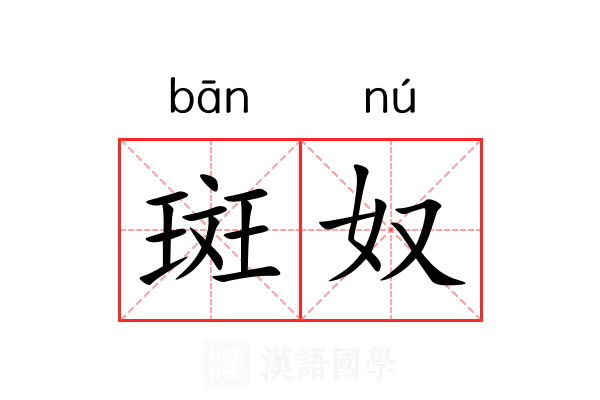 斑奴