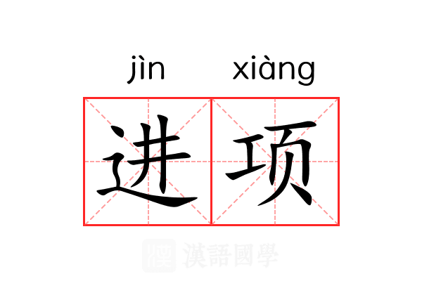 进项 进项