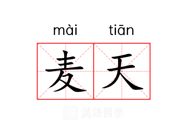麦天 麦天