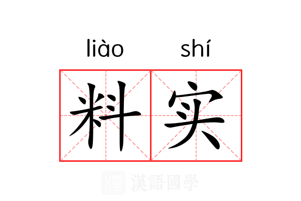 料实