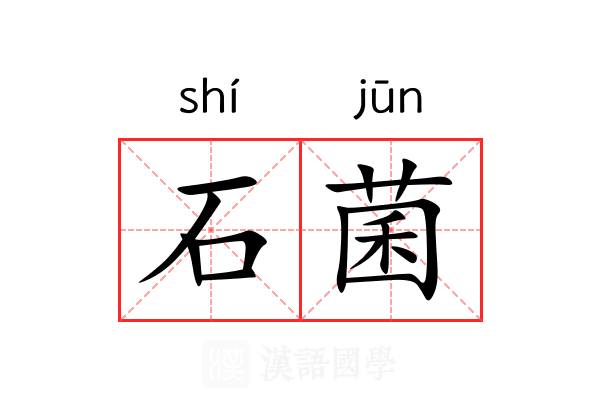 石菌